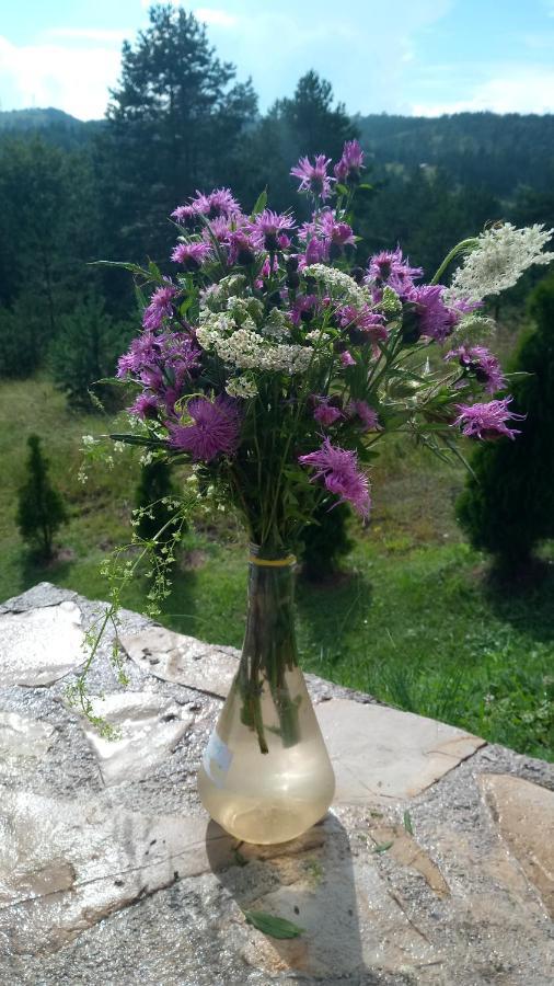 Marija Apartment
